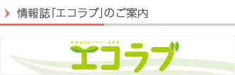 情報誌「エコラブ」のご案内